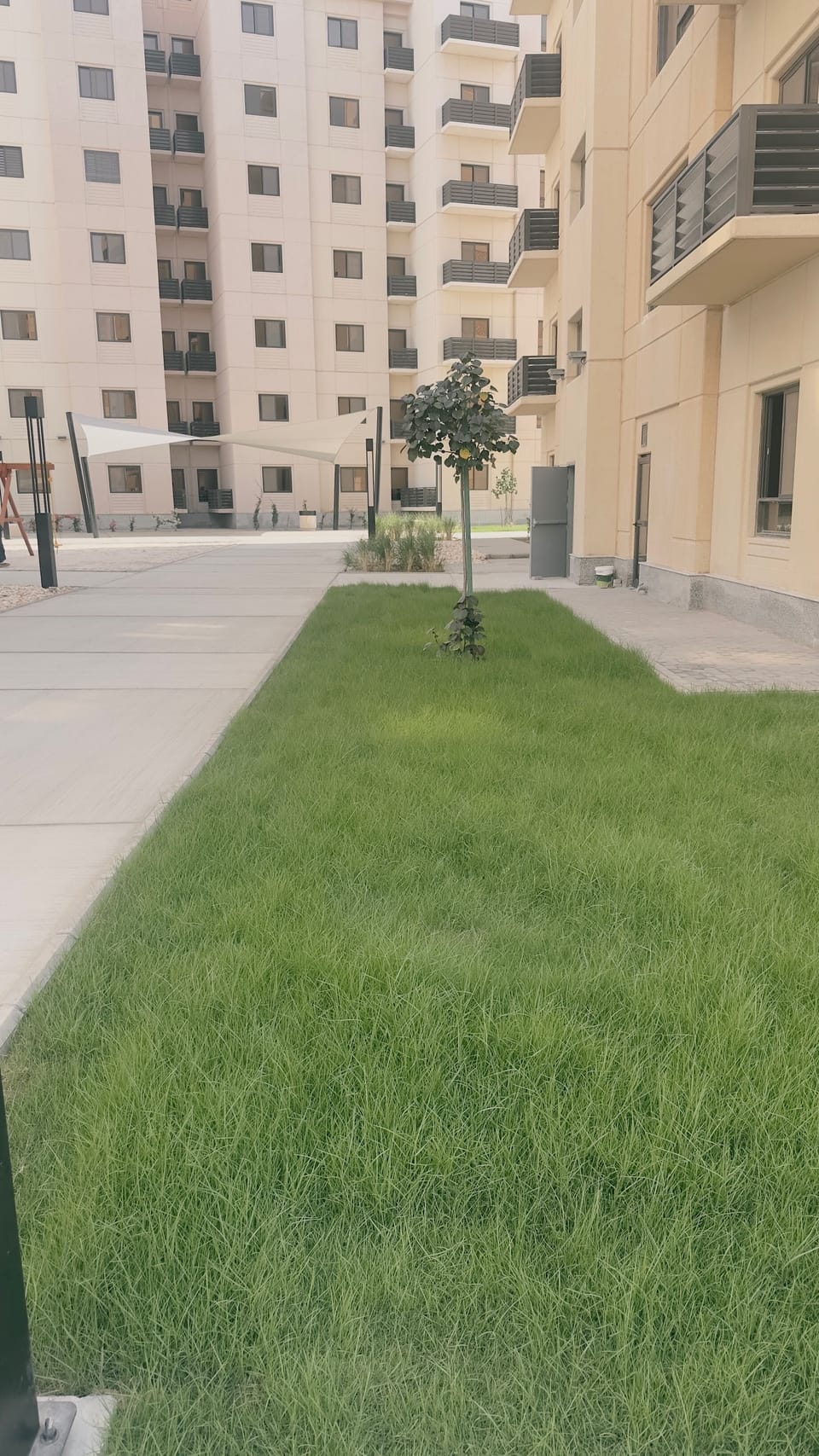 Property grounds