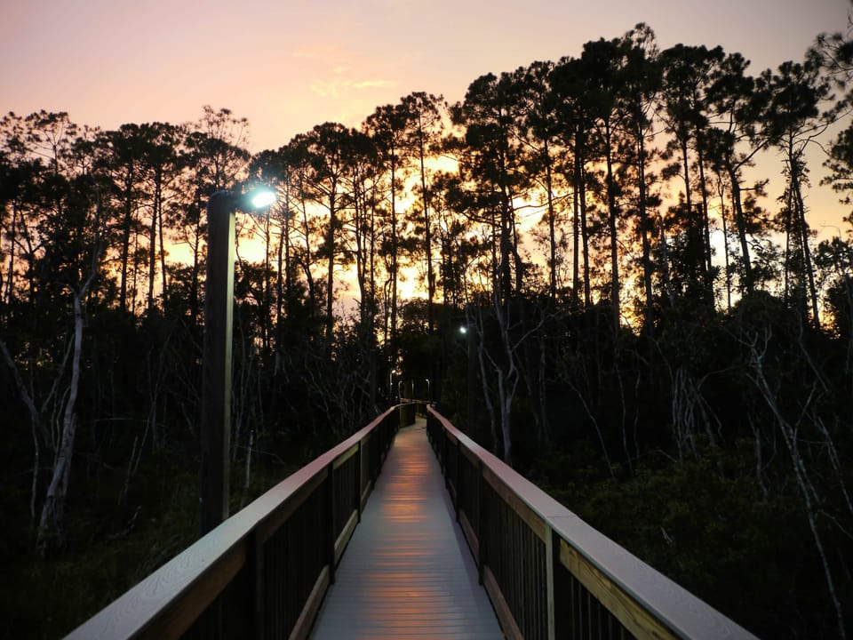 Take an everglades-style nature walk through the grounds.