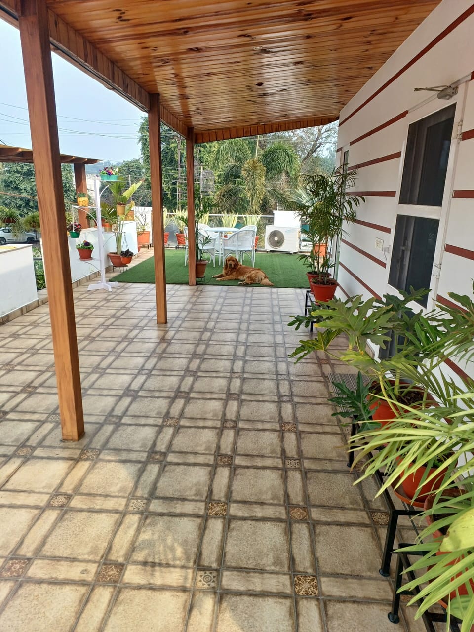 Terrace/patio