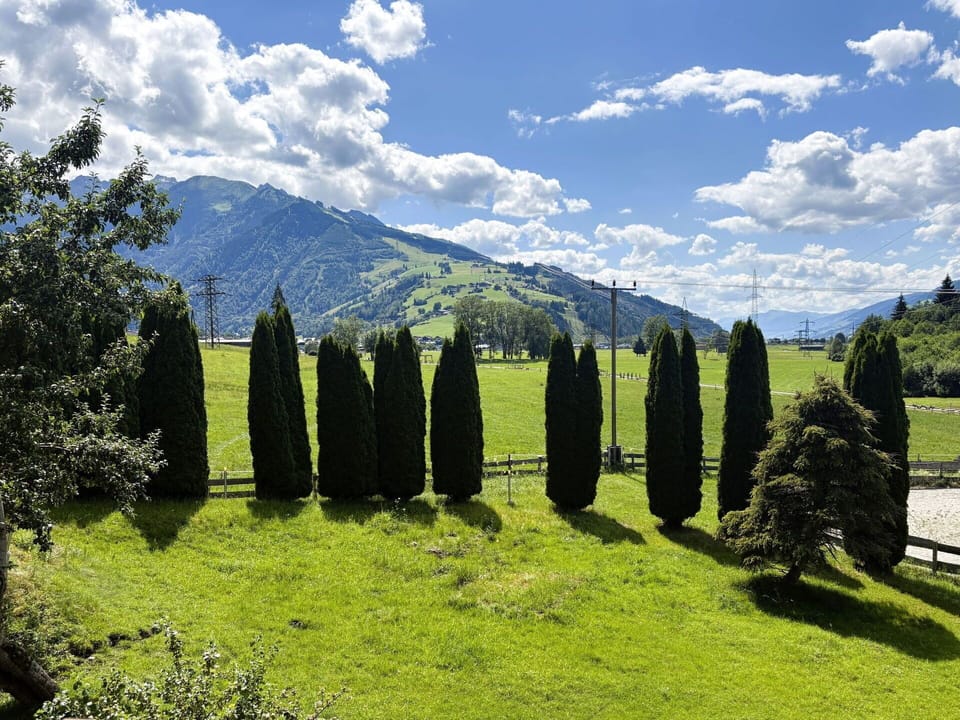 Mountainous Landforms, Green, Tree, Natural Environment, Nature, Grass, Hill, Natural Landscape, Highland, Mountain