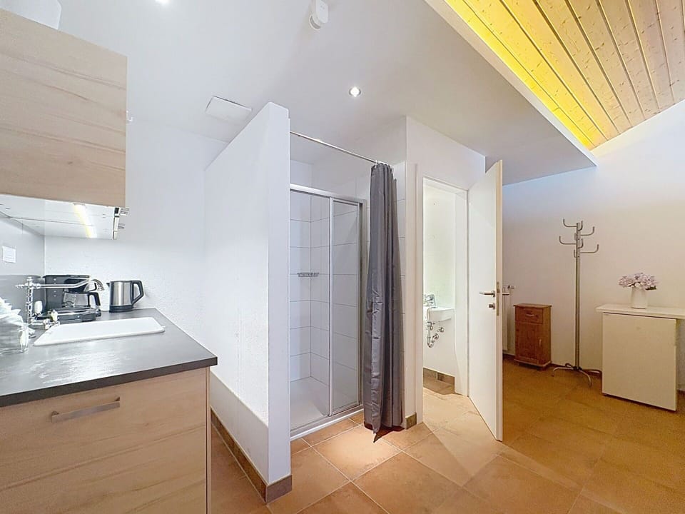Flooring, Interior Design, Floor, Wood, Ceiling, Plumbing Fixture, Lighting, Room, Plumbing, Apartment