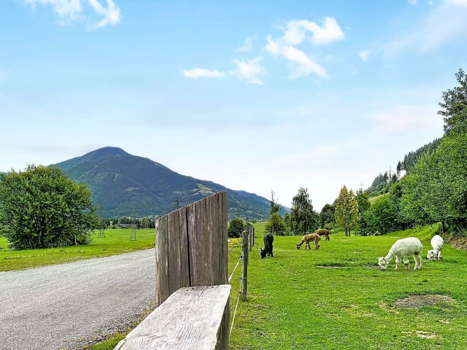 Mountainous Landforms, Grass, Green, Hill, Mountain, Grassland, Natural Landscape, Highland, Landscape, Pasture