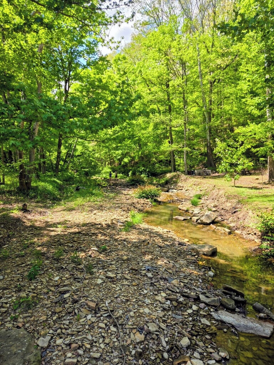 Creek