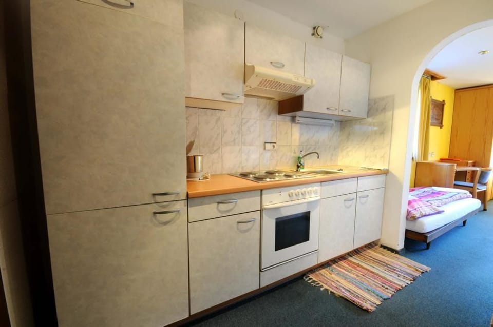 Standard Apartment, 1 Bedroom, Mountain View | Private kitchen | Full-size fridge, stovetop, coffee/tea maker, electric kettle