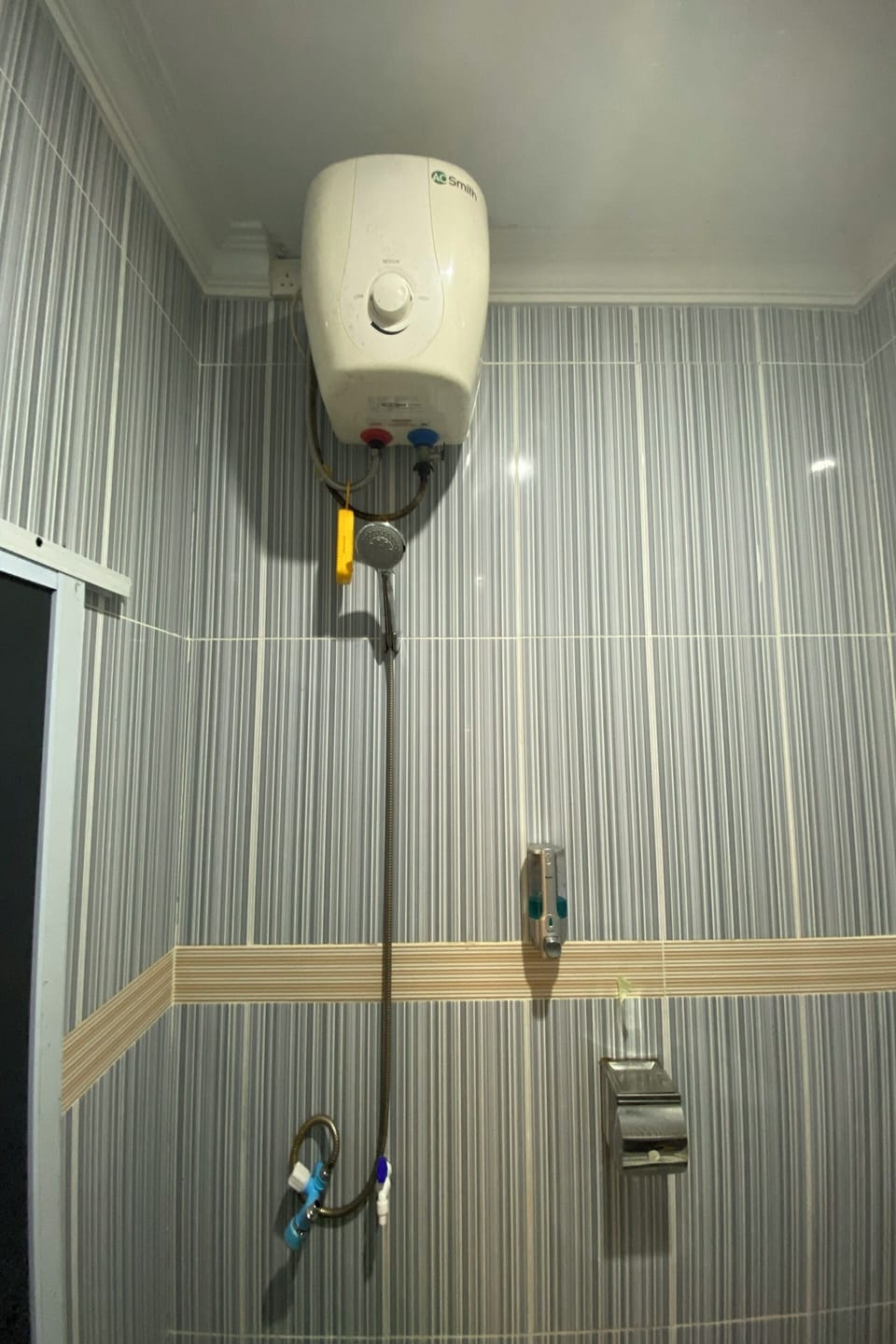 Shower, bidet, towels, toilet paper