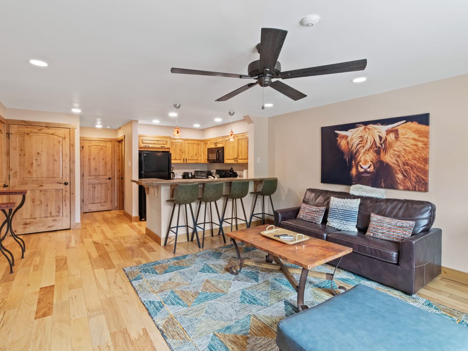 Living Area / Kitchen