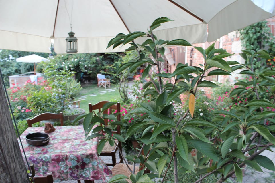 Gazebo