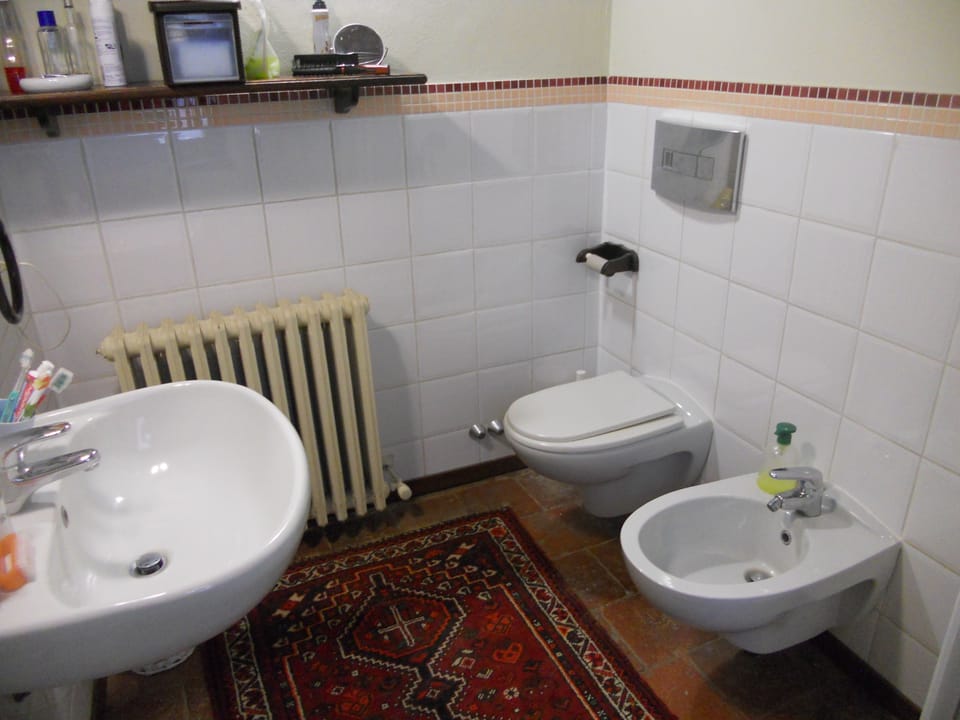Shower, free toiletries, hair dryer, bidet