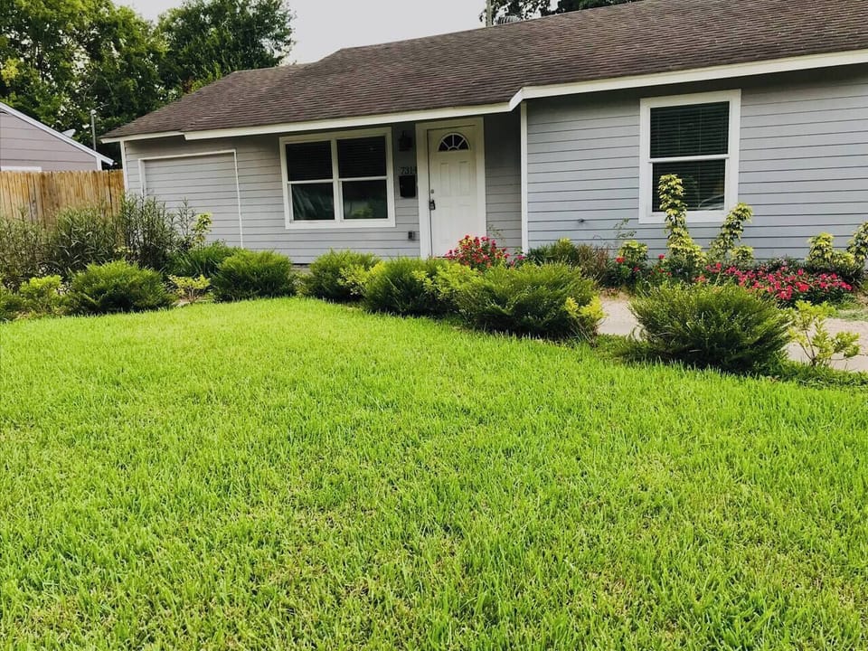 FRONT YARD
