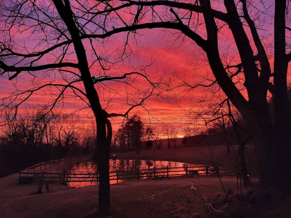 Watch the sun set over the pond.