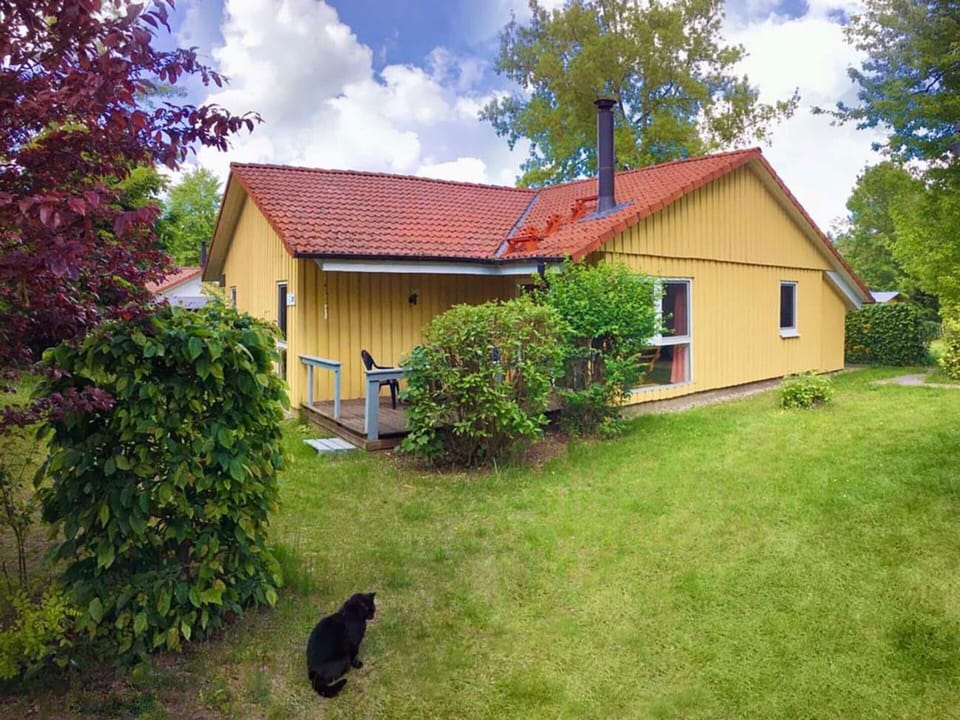 House | Exterior