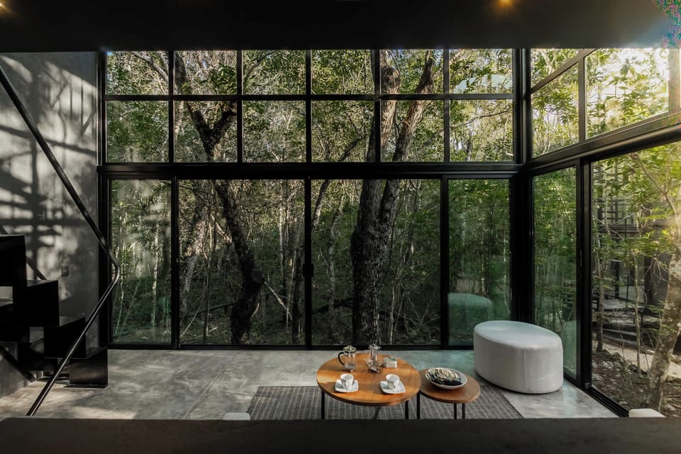 The living room in full: a complete wall of glass — nothing between your sofa and the jungle