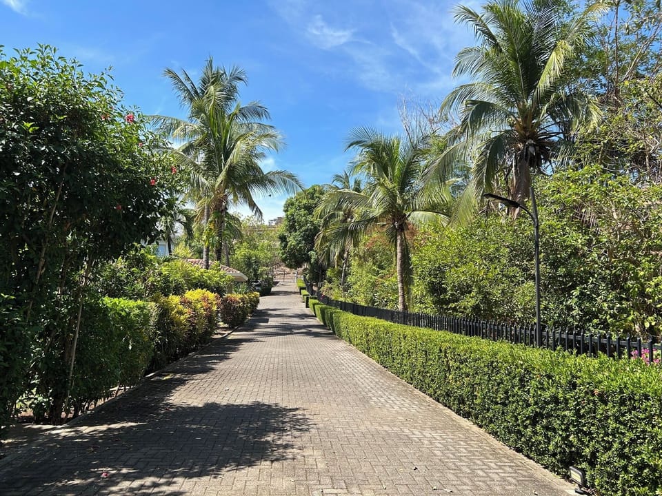 Community entrance from gate to your condo 