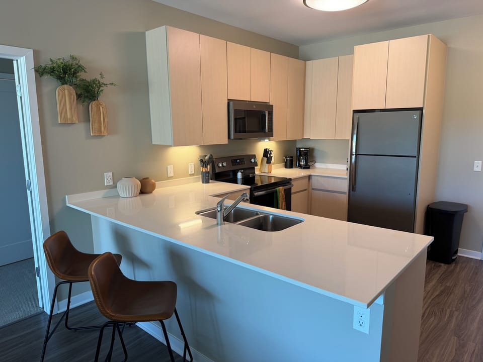 Deluxe Apartment | Private kitchen | Fridge, microwave, oven, stovetop