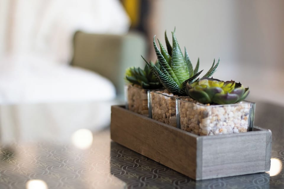 Pop of greenery