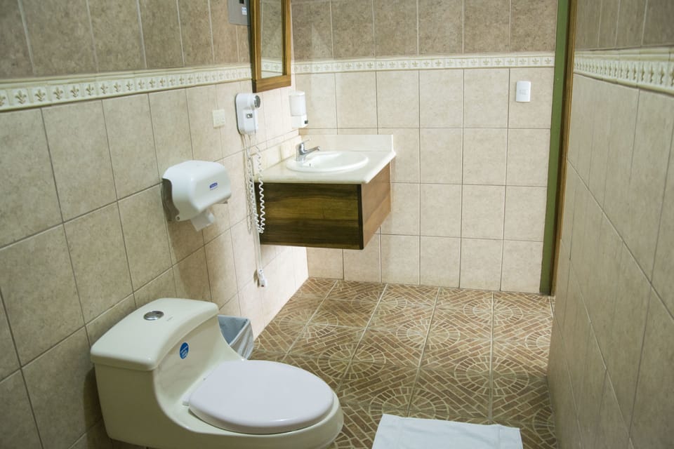 Superior Room, 1 Double Bed | Bathroom | Free toiletries, towels