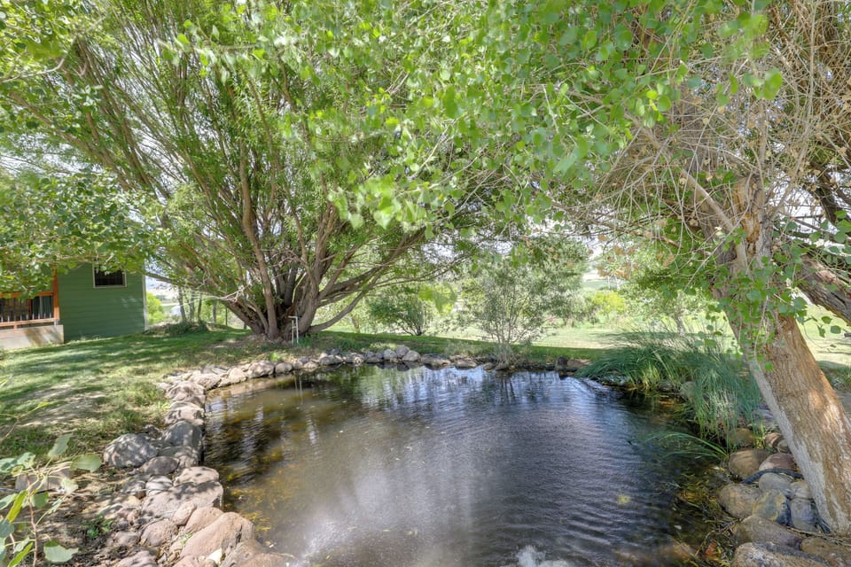 9 Acres w/ Pond