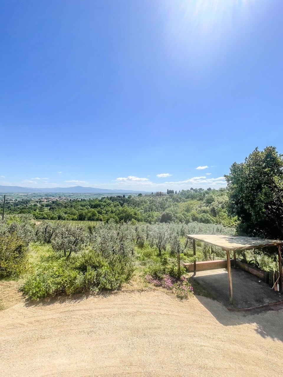 266_Tenuta San Lorenzo_13