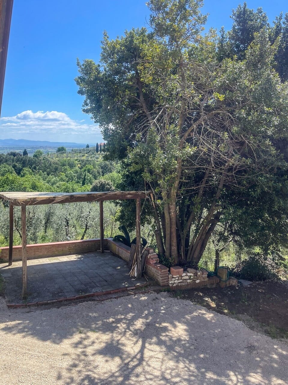 266_Tenuta San Lorenzo_9
