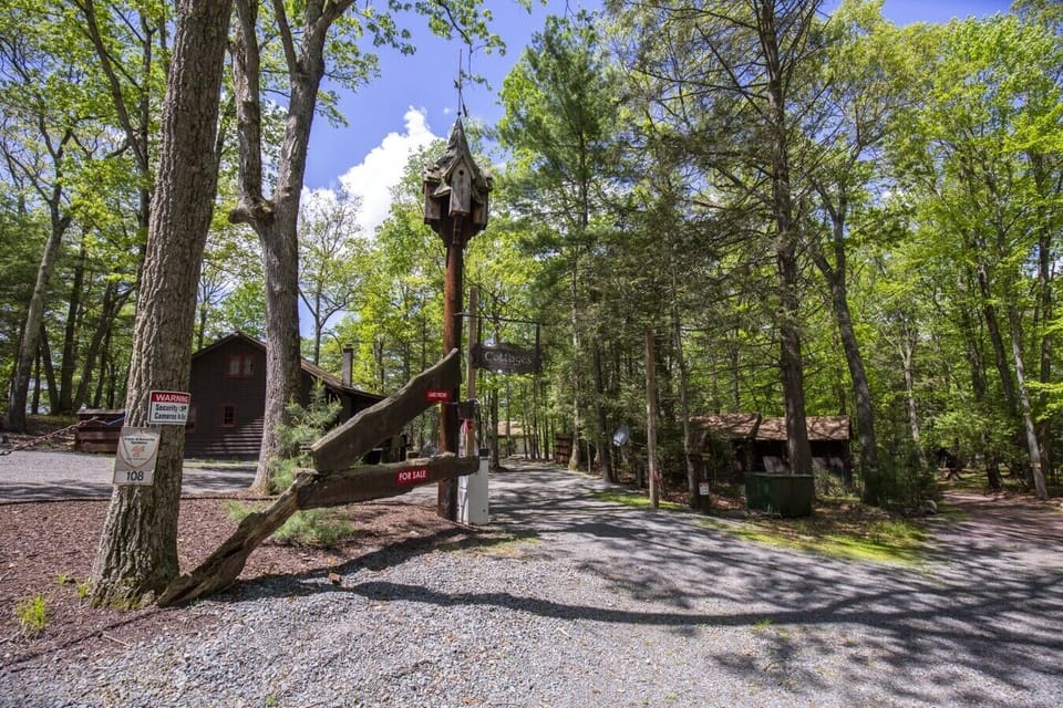 Camp Wally birdhouse and driveway