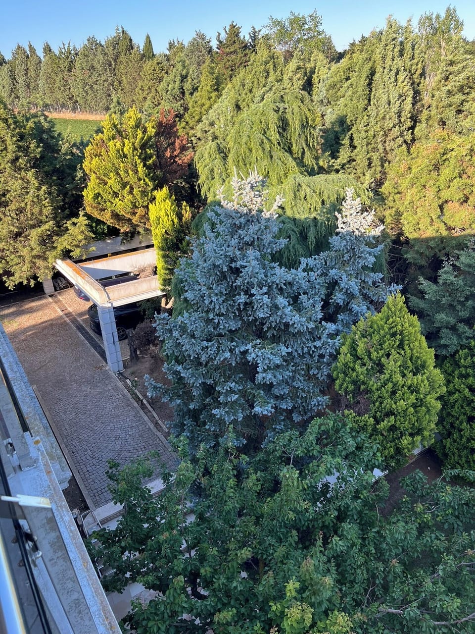 View from property