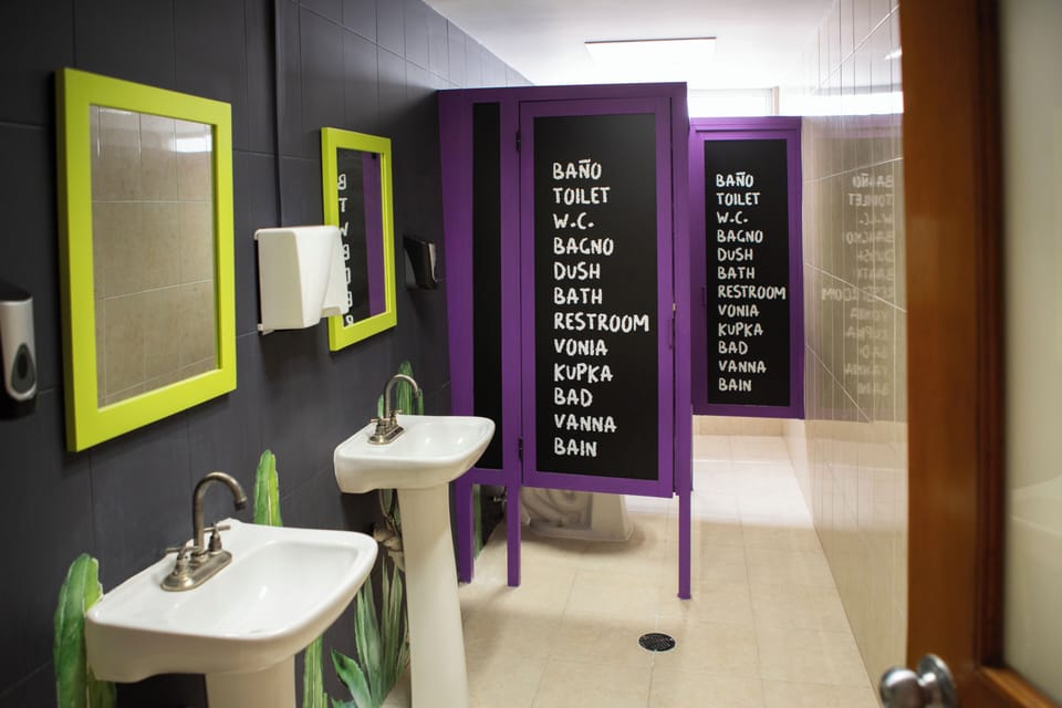 Shower, towels, toilet paper