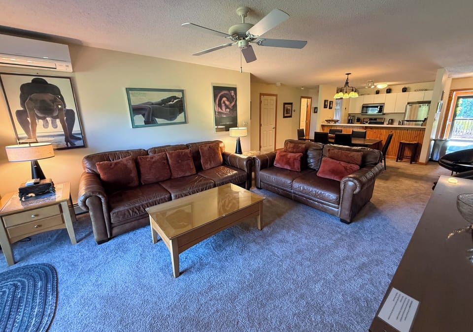 Living area with comfortable seating, gas fireplace and TV