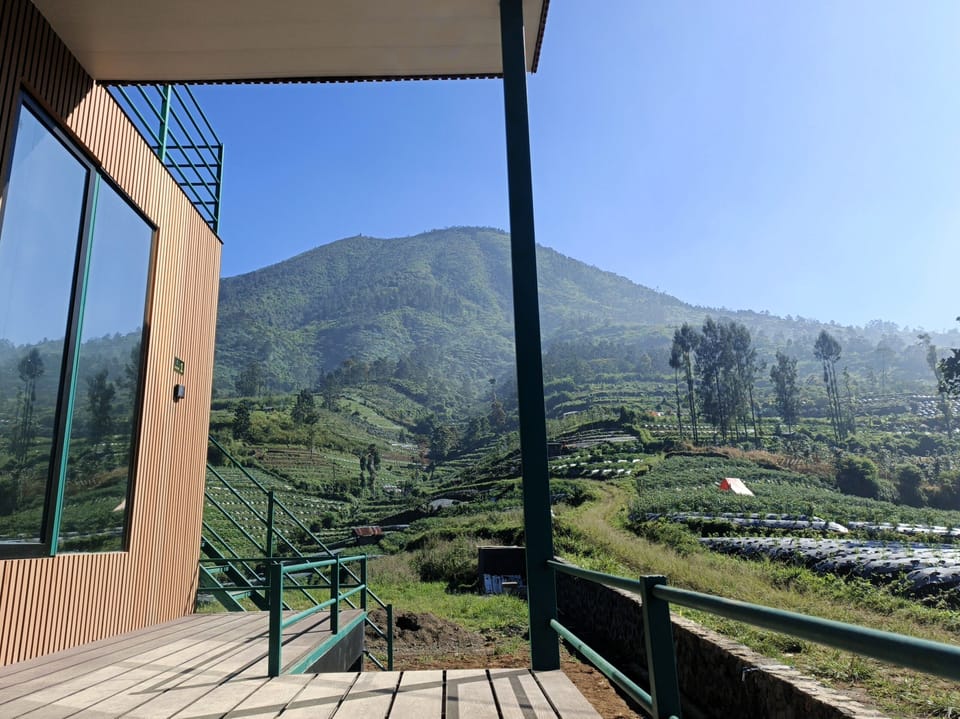 View from room