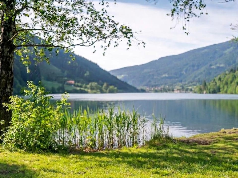 Immediate Surroundings [summer] (<1 km)