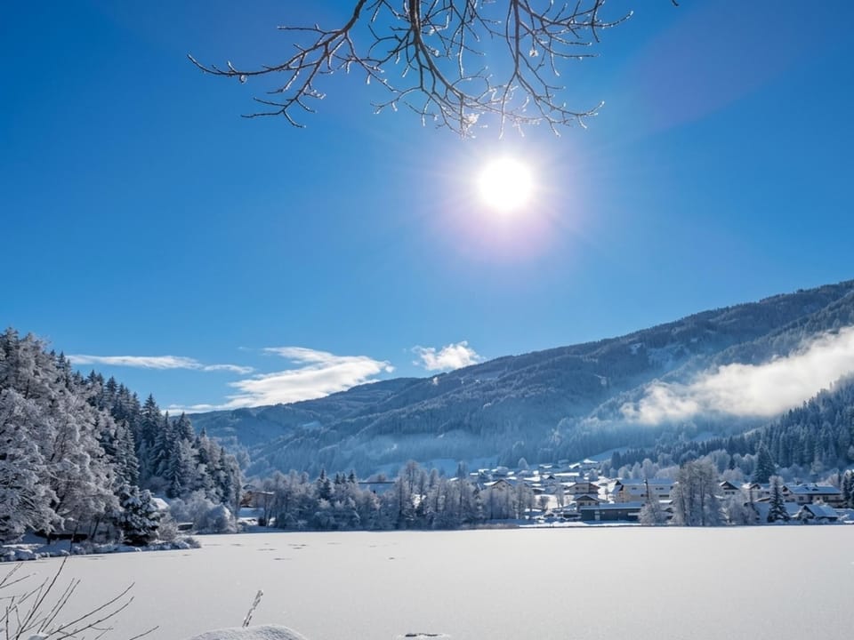 Immediate Surroundings [winter] (<1 km)