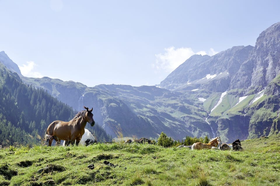 Surroundings [summer] (1-5 km)