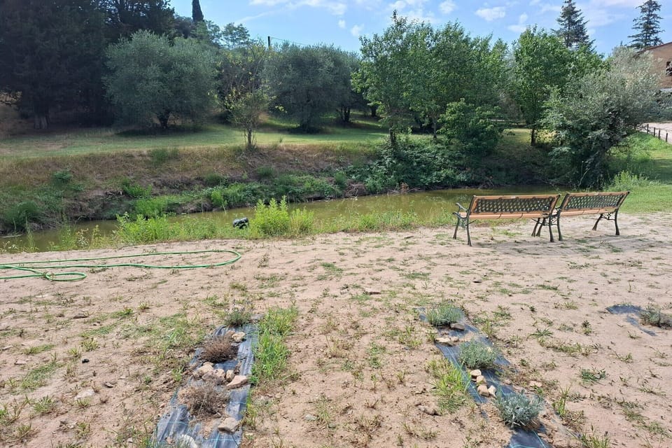 Garden [summer]
