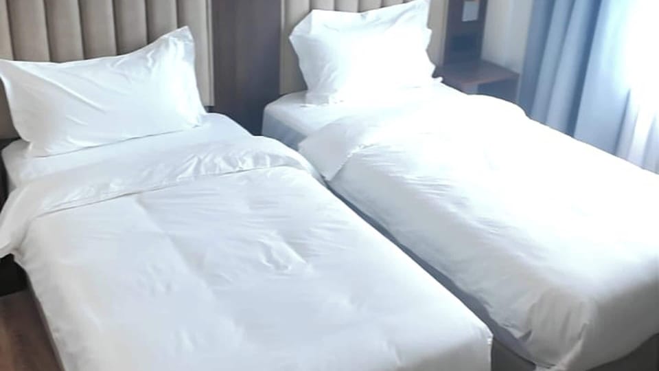 Standard Twin Room | Desk, laptop workspace, WiFi (free)