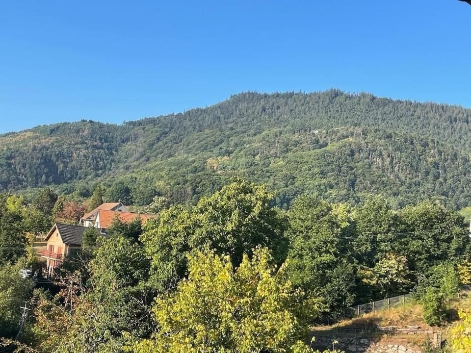 Deluxe Double Room, Non Smoking, Mountain View | Miscellaneous