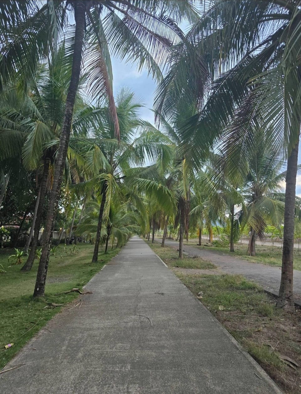 Condo, 2 Bedrooms, Accessible, Balcony | Miscellaneous