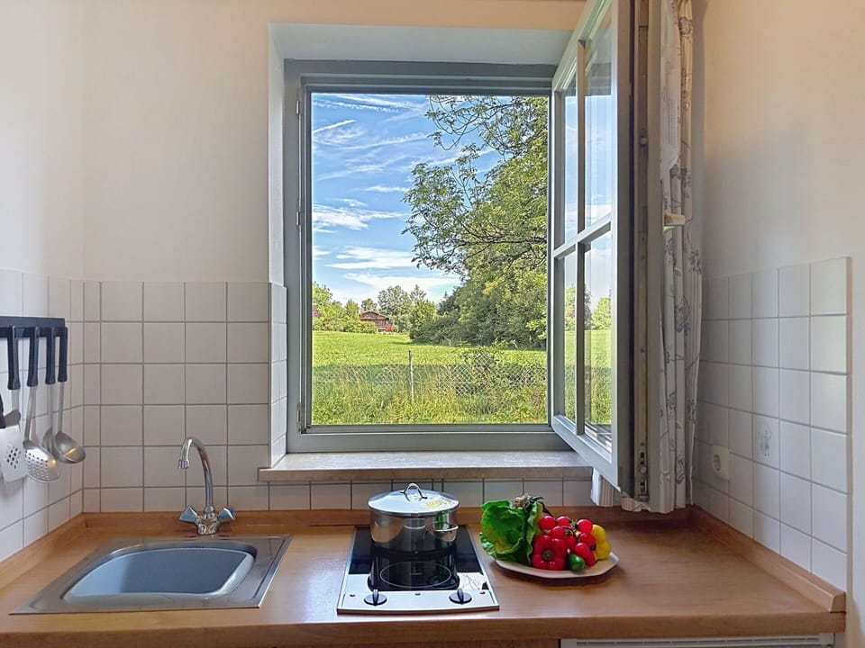 Glass, Wood Stain, Sash Window, Daylighting, Countertop, Hardwood, Serveware, Houseplant, Plumbing Fixture, Kitchen