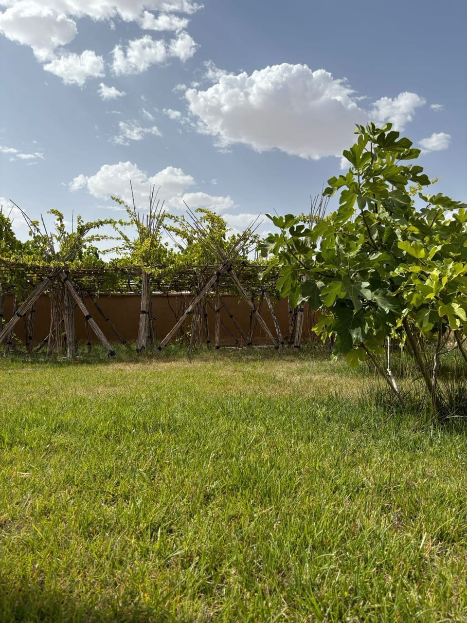 Property grounds