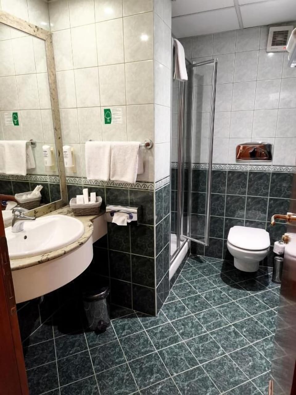 Superior Double Room | Bathroom
