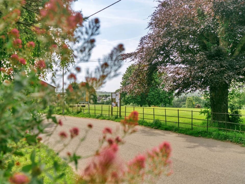 House | View from property