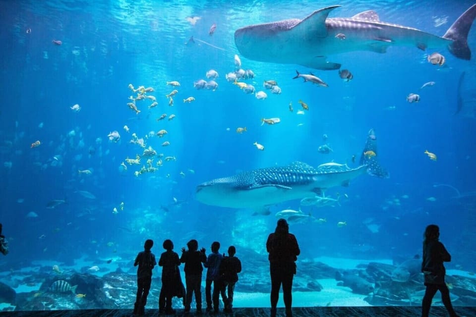 Spend the day exploring the Georgia Aquarium, only 4.5 miles from the home.