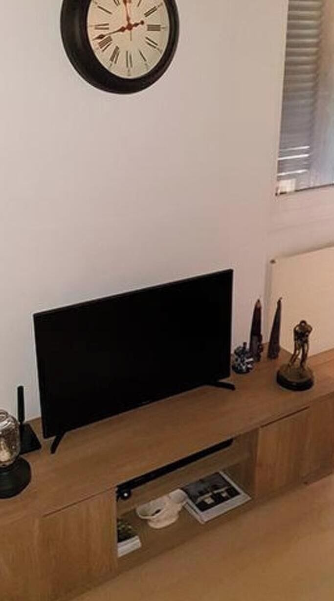 Television