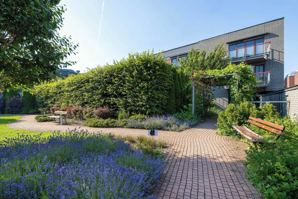 A colorful garden filled with lavender and walking paths. The peaceful surroundings create a relaxing atmosphere.