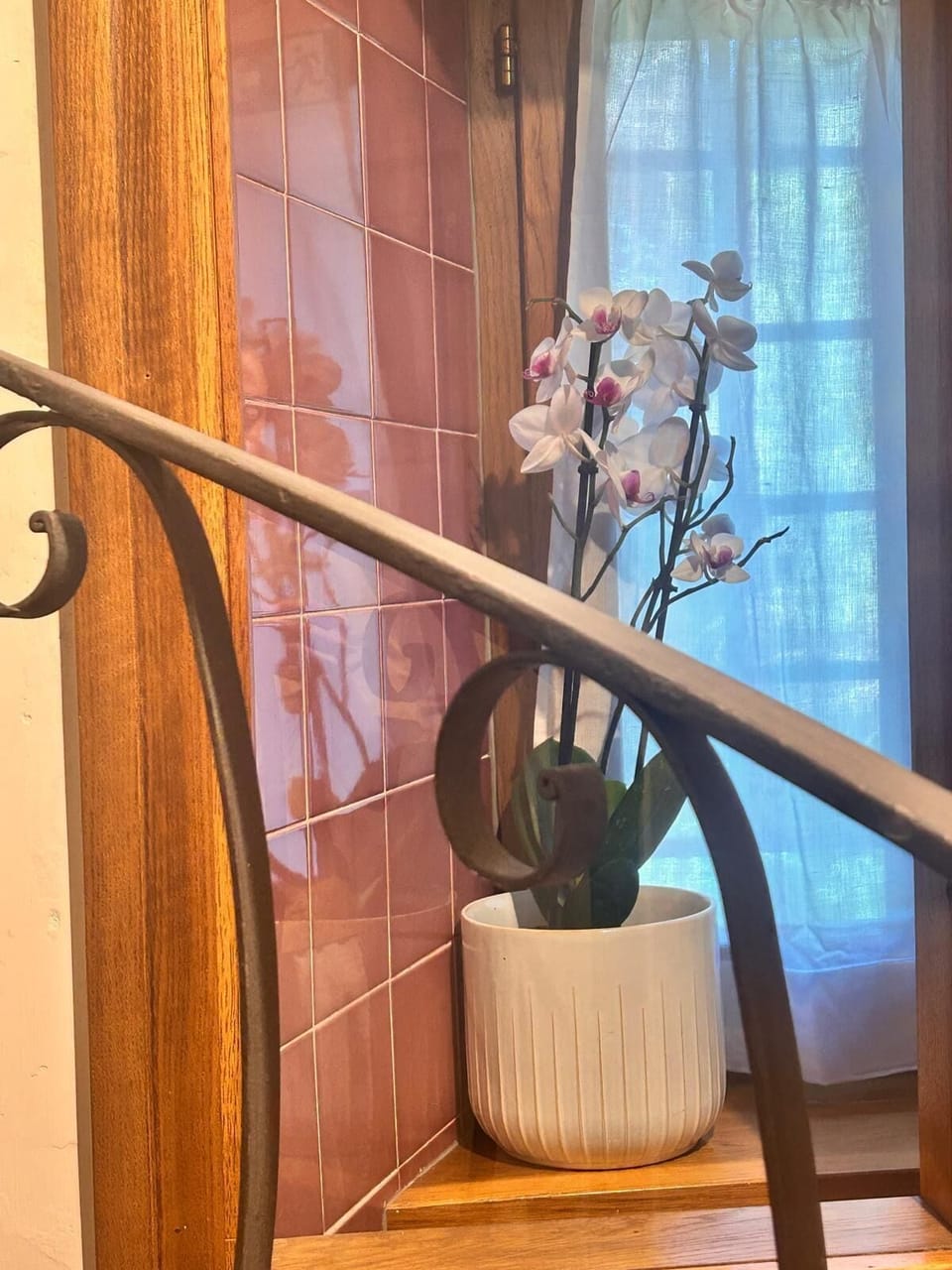 Basic Single Room, Courtyard View | Miscellaneous