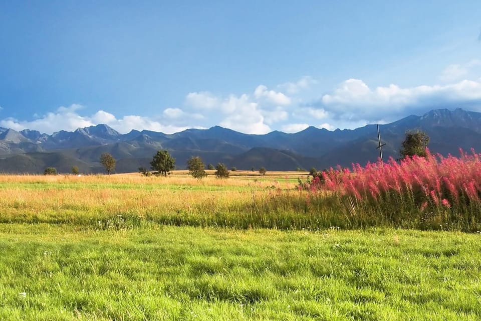 Surroundings [summer] (1-5 km)