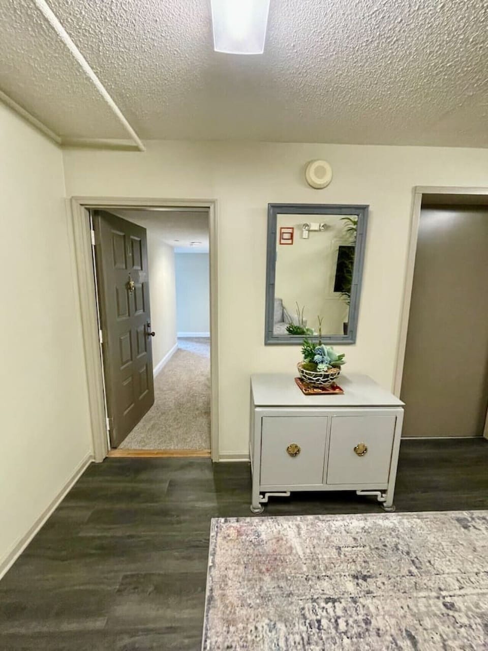 Entryway leading into the apartment