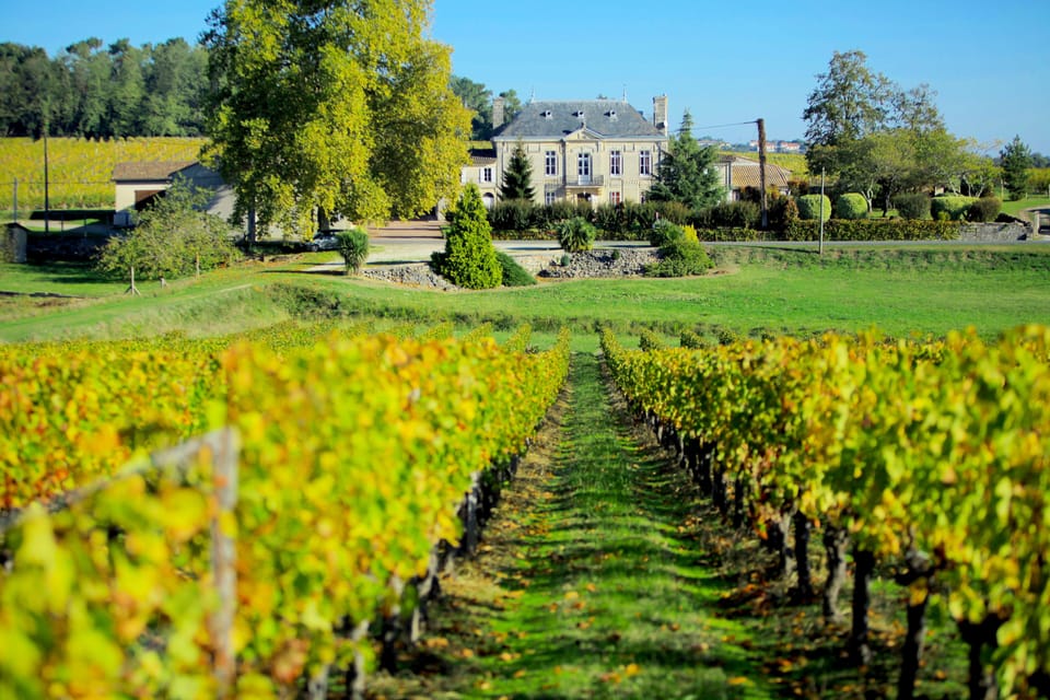 Rows of certified organic vines stretch out from the estate, cultivated since 1837 in the heart of the Côtes de Bourg.
