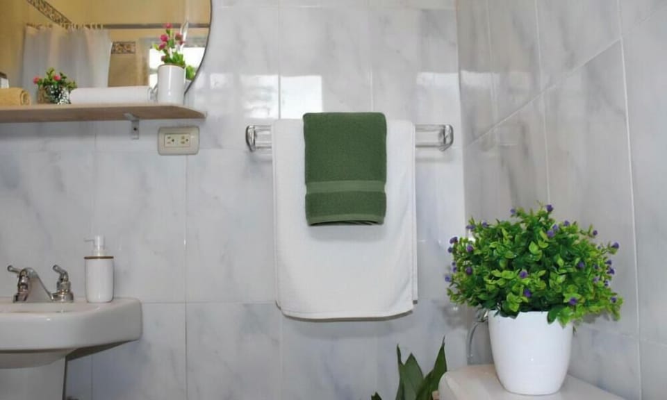 Shower, free toiletries, towels, soap