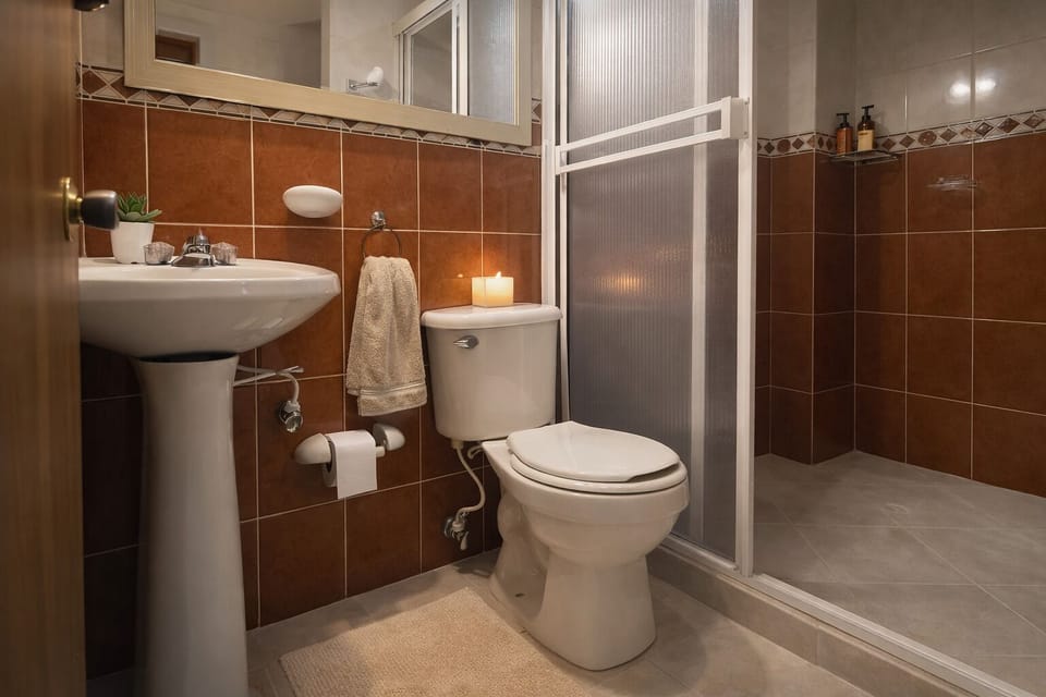 Double Antique Room | Bathroom | Shower, towels, soap, toilet paper