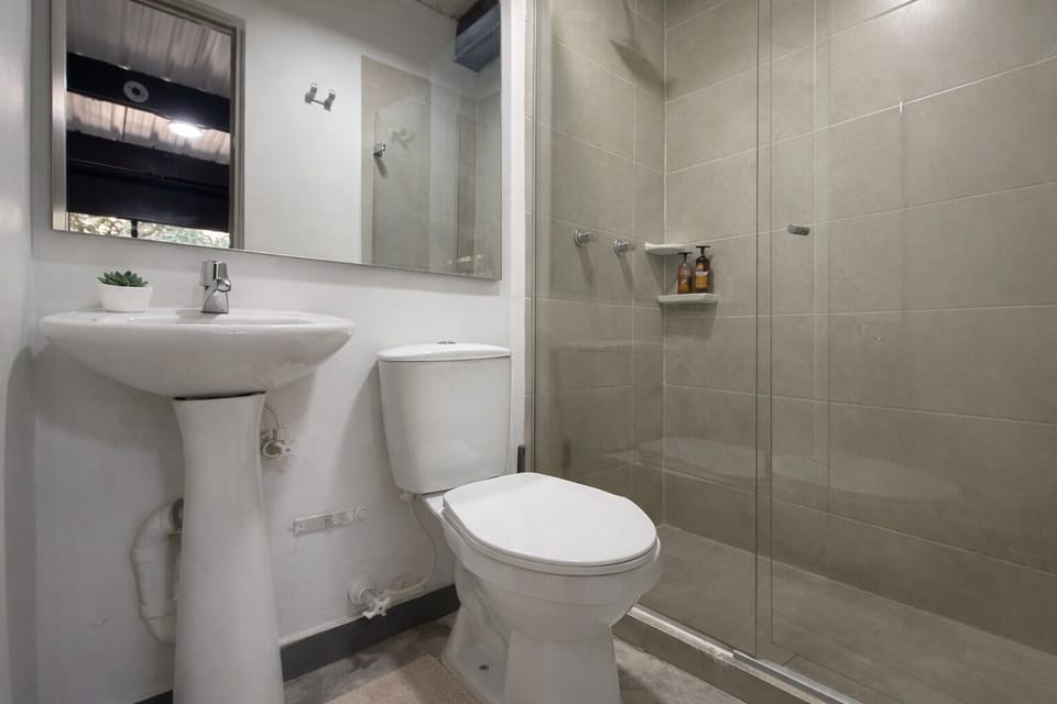 Shower, towels, soap, toilet paper