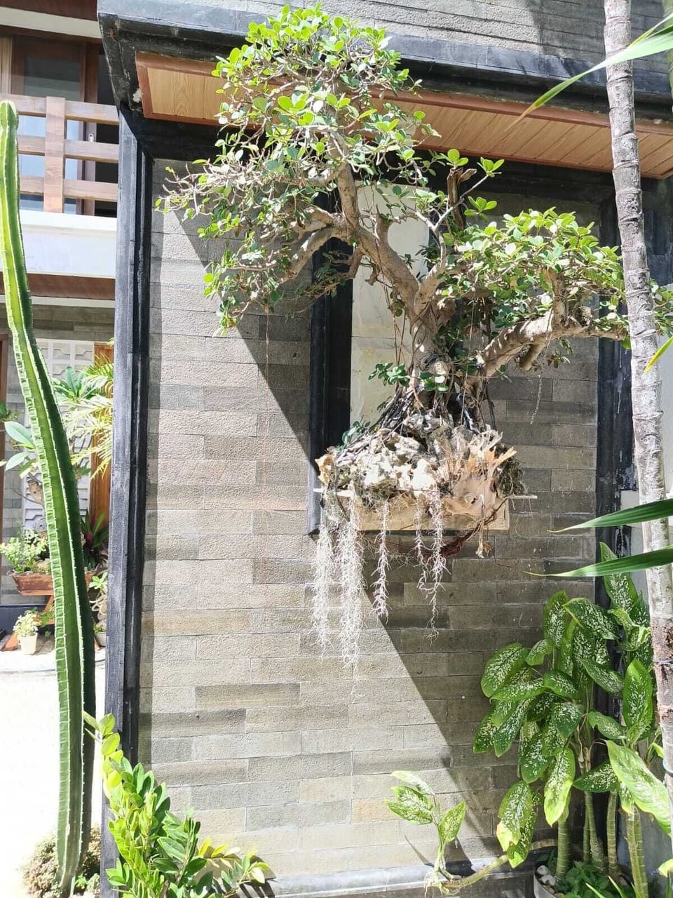 Exterior detail